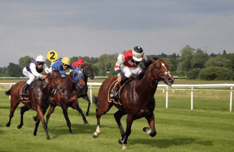 Horse Racing and Its Growing Popularity Among Fans